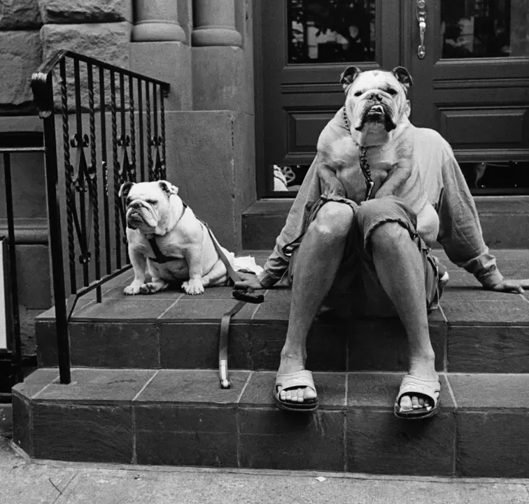 Elliott Erwitt Exhibition in Brussels