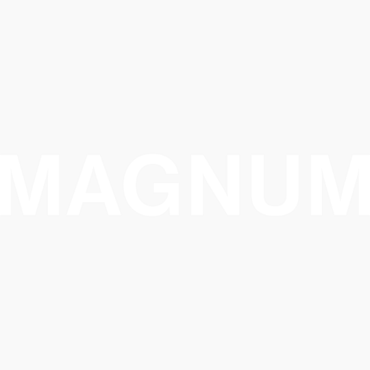 Magnum logo